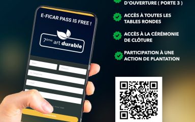 E-FICAR PASS