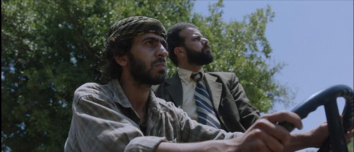 The Woodland / الغابة