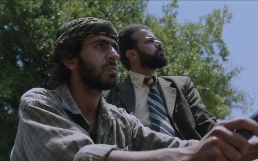 The Woodland / الغابة