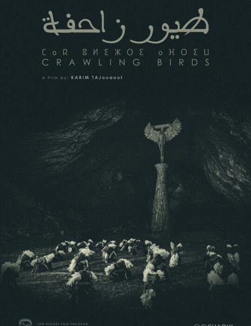 Crawling Birds / طيور زاحفة