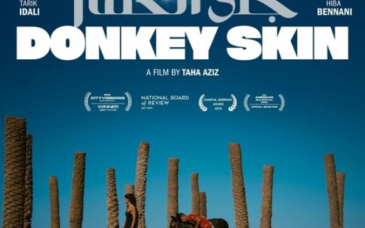 Donkey Skin / جلد الحمار