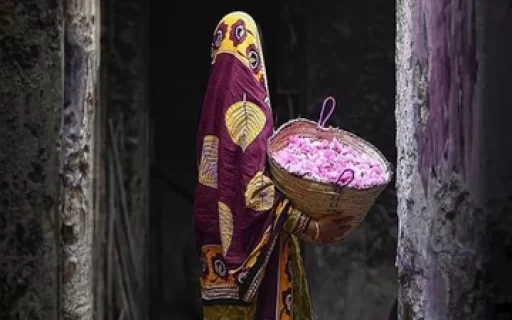 Dahjan Al Ward / دهجان الورد