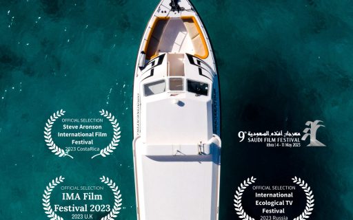 You Will Not Dive Alone / لن تغوص وحيدا