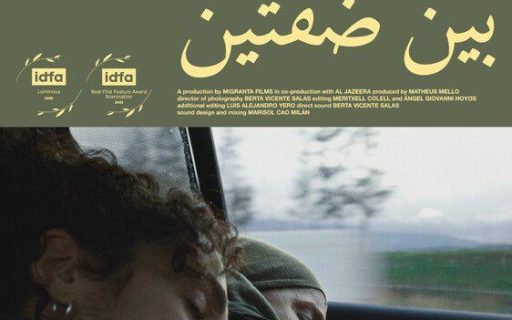 Le Vol de la Cigogne – affiche